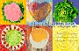 Rototondo 